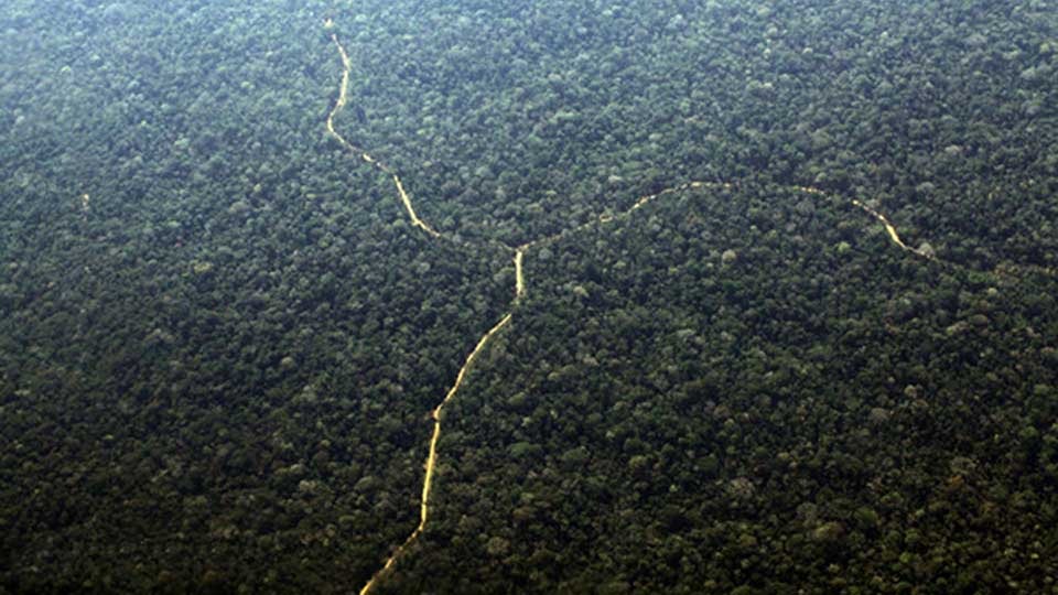 Aerial view of illegal logging roads in the Amazon rainforest. Image credit: Monitoring of the Andean Amazon Project.
